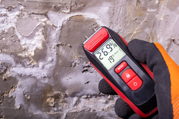 Professional Mold Remediation in Lorain, OH